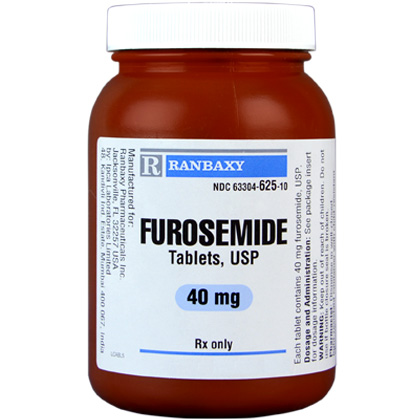 furosemide with or without food