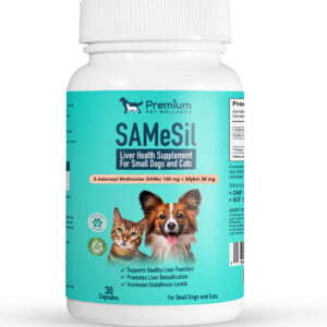 liver health supplement for dogs and cats